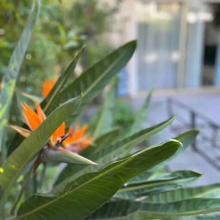 Le Cosy Garden: 4 Prs, Terrasse, Piscine Antibes
